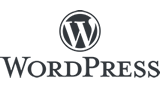 WordPress CMS logo